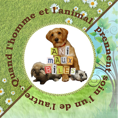 Lise Labro - AniMauxBiles - Médiation Animale - Naturopathe animalier - Educatrice spécialisée libérale à Rouvray-Catillon