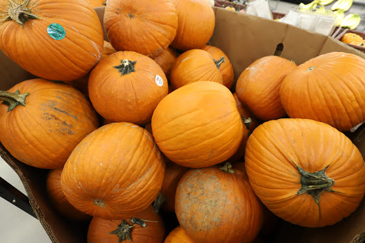 Grocery Store «Food Lion», reviews and photos, 9537 Bridgeville Center Rd, Bridgeville, DE 19933, USA