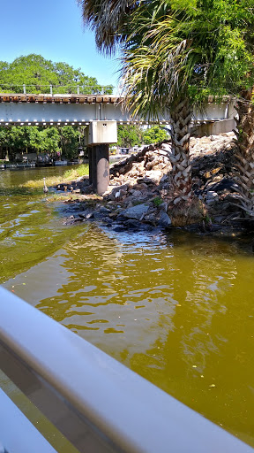 Tourist Attraction «Premier Boat Tours», reviews and photos, 100 Alexander St, Mt Dora, FL 32757, USA