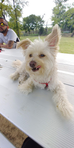 State Park «Cedar Hill State Park», reviews and photos, 1570 FM1382, Cedar Hill, TX 75104, USA