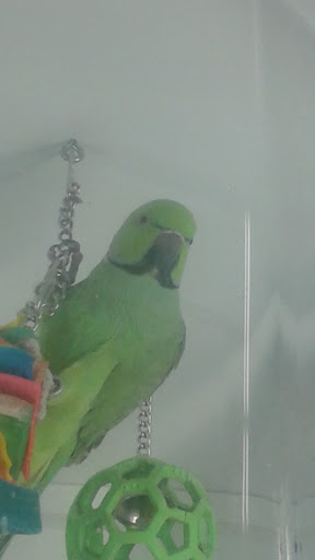 Pet Supply Store «Petco Animal Supplies», reviews and photos, 753 53rd Ave NE, Fridley, MN 55421, USA