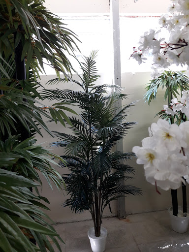 Cornelia, floristería