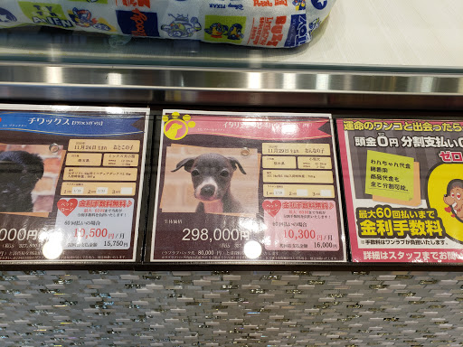 One Love Ariake Garden Tokyo Honten Pet Shop