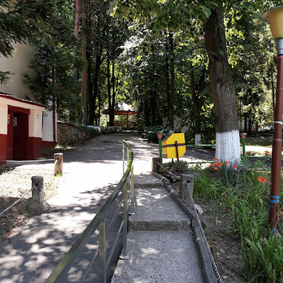 Spitalul de Psihiatrie și pentru Măsuri de Siguranță Săpoca, Secția Nifon
