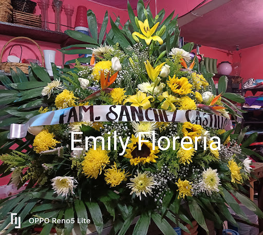 Emily Floreria – Saltillo