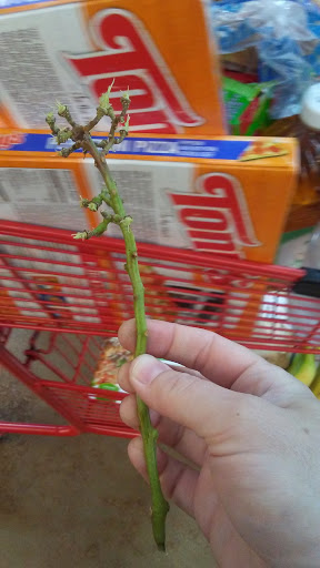 Supermarket «Save Mart Supermarkets», reviews and photos, 3601 Pelandale Ave, Modesto, CA 95356, USA