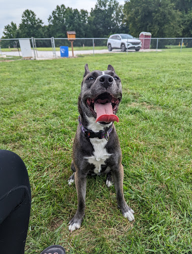 Park «Craig Park», reviews and photos, 2013 W County Rd 950 N, Brazil, IN 47834, USA