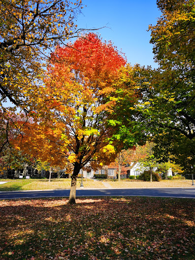 Park «Shadow Falls Park», reviews and photos, 30 N Mississippi River Blvd, St Paul, MN 55104, USA