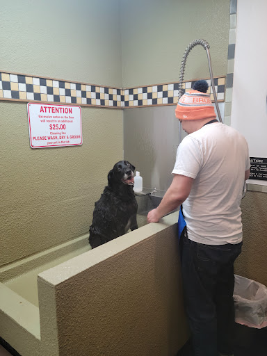 Pet Store «Cookies Pet Corner & Wash», reviews and photos, 1010 Bethel Ave, Port Orchard, WA 98366, USA