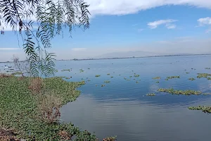 Laguna de Zumpango image