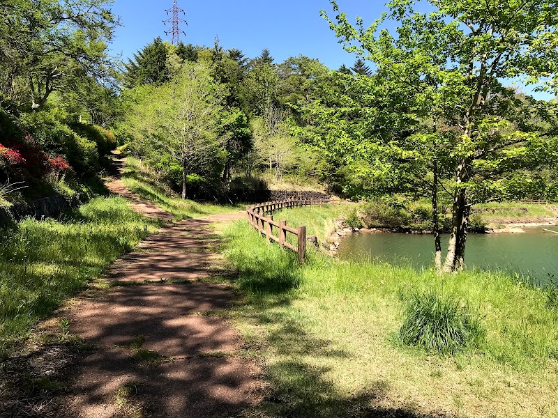 馬籠宿の池