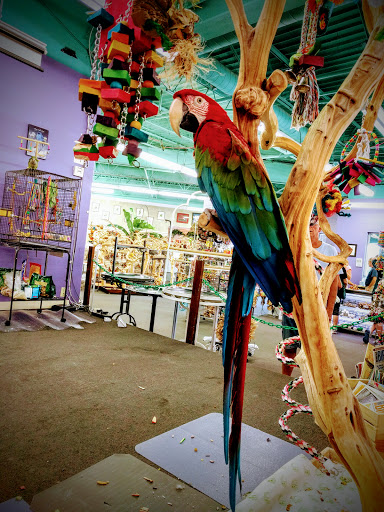 Bird Shop «Varietees Bird Shop», reviews and photos, 60 Meramec Valley Plaza, Valley Park, MO 63088, USA