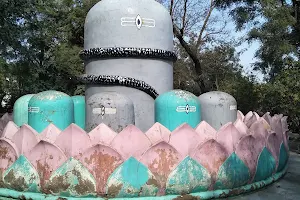 Maharishi Dayanad Memorial Centre, Banchari, Hodal image