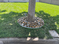 Lucio's Landscaping - Photo 9 - Car repair in , Fontana