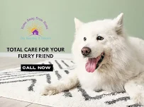 Home Away From Home Dog Boarding & Daycare - Car repair in Newport Beach, CA, Santa Ana - Rated 5.0/5