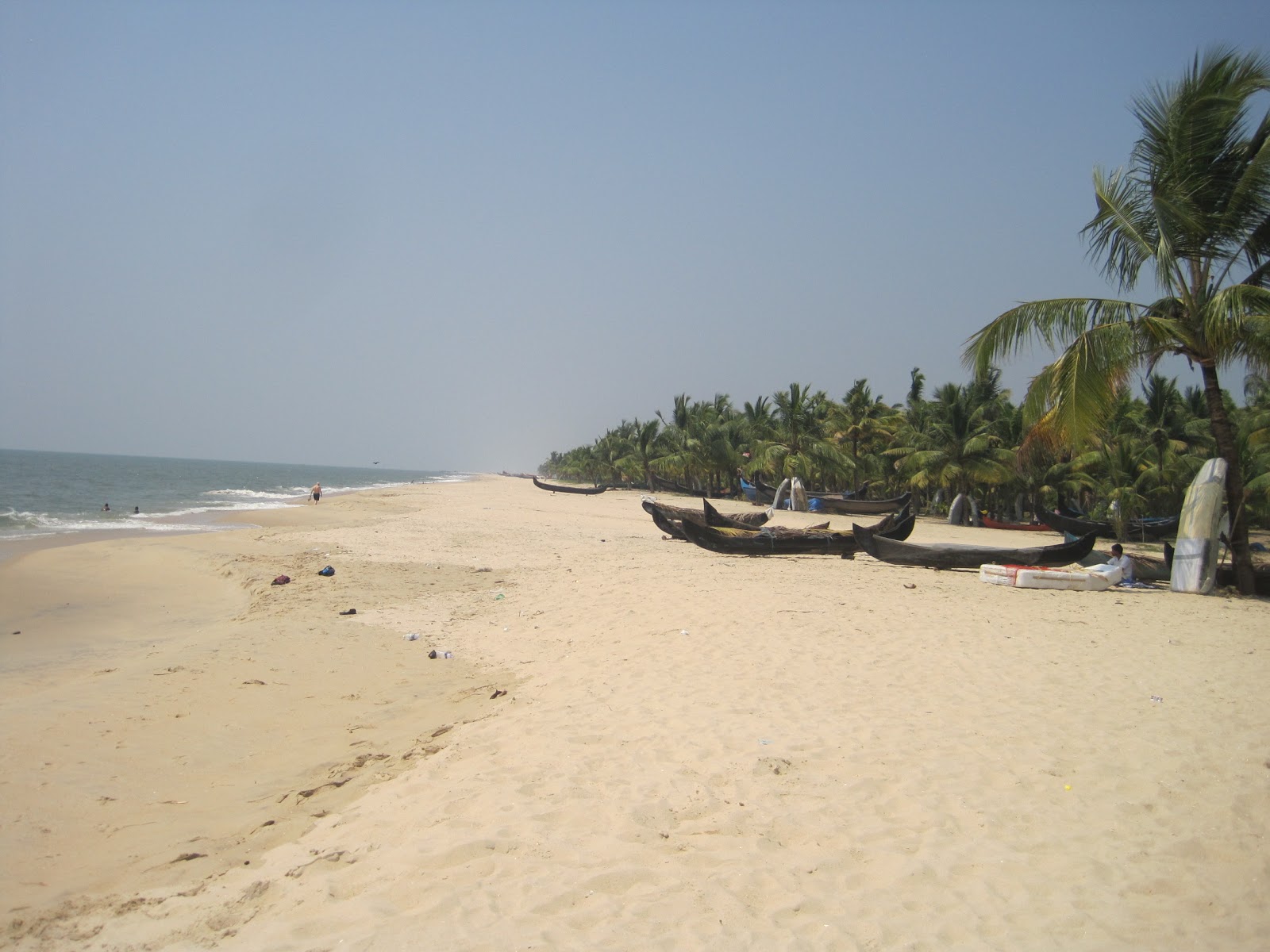 Fotografija Ambalapuzha Beach divje območje
