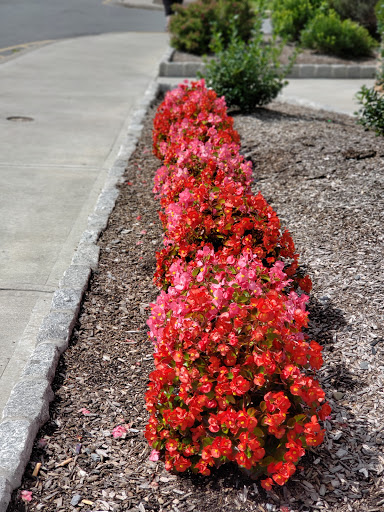 Watch Store «Fossil Outlet Store», reviews and photos, 155 Marigold Ct, Central Valley, NY 10917, USA