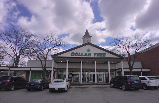 Dollar Store «Dollar Tree», reviews and photos, 1061 S York Rd, Bensenville, IL 60106, USA