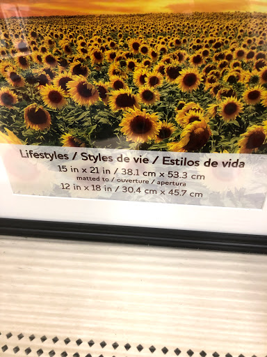 Craft Store «Michaels», reviews and photos, 6108 Shops Way, Northborough, MA 01532, USA