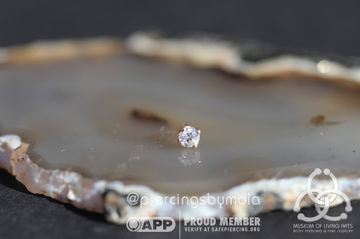 Find aquatic tattoo ideas for your next unique tattoo in Charleston at MOLA Piercing and Fine Jewelry