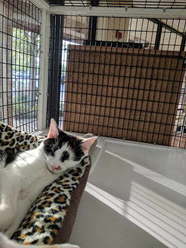 Pet Supply Store «Pet Supermarket», reviews and photos, 268 Grande Heights Dr, Cary, NC 27513, USA