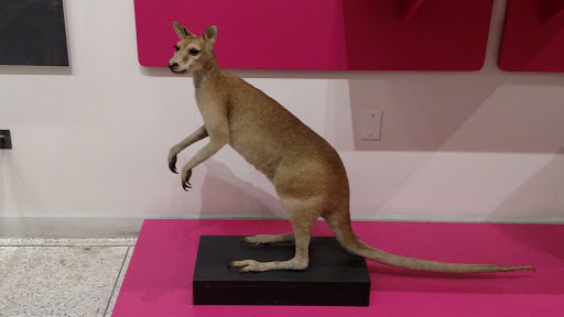 Museum «New Jersey State Museum», reviews and photos, 205 W State St, Trenton, NJ 08608, USA