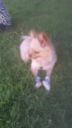 Park «The Hills Park», reviews and photos, 9100 Hillpointe Rd, Las Vegas, NV 89134, USA