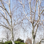 Photo n°26 de l'avis de Patrizia.r fait le 07/02/2021 à 09:18 sur le  La Fattoria di Valentino à Frattocchie