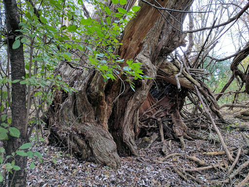 Public Golf Course «Greenfield Golf Course», reviews and photos, 12035 W Greenfield Ave, Milwaukee, WI 53214, USA