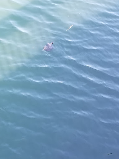 Ice Cream Shop «Cold Stone Creamery», reviews and photos, 1986 Power Plant Pkwy, Hampton, VA 23666, USA