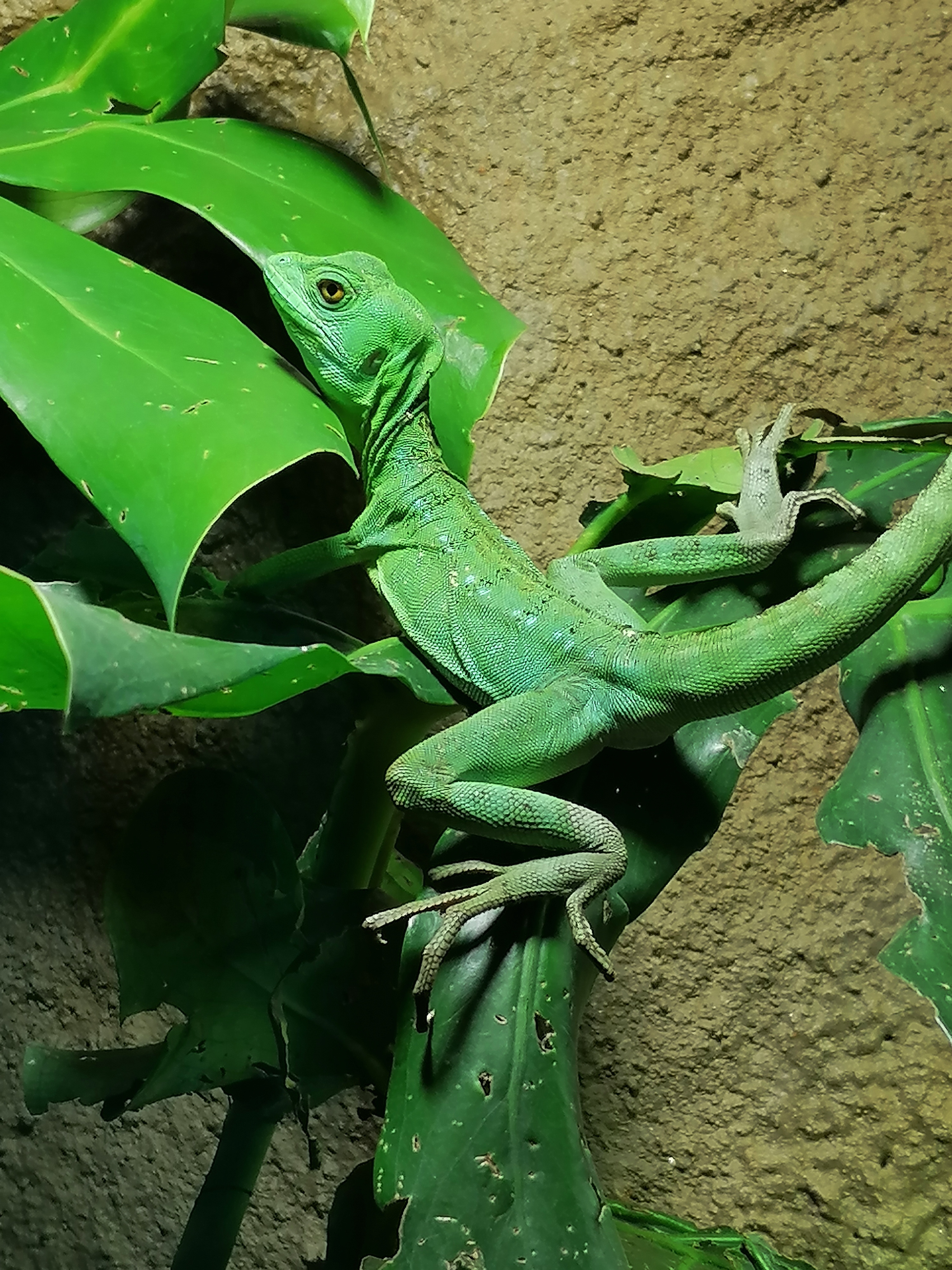 Photo n° 1 de l'avis de helice. fait le 01/11/2021 à 15:48