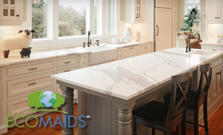 House Cleaning Service «EcoMaids», reviews and photos, 7600 W 27th St #220, St Louis Park, MN 55426, USA