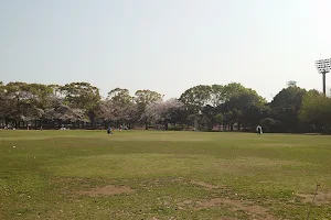 Tsuruma Park image