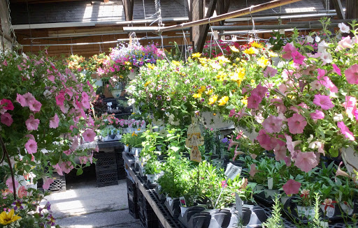 Florist «Sunshine Flowers», reviews and photos, 4509 Rainbow Blvd, Kansas City, KS 66103, USA