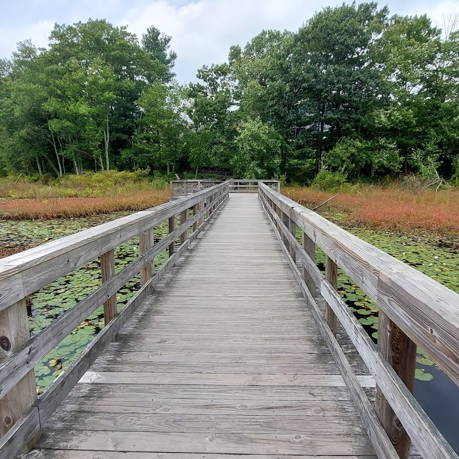 The Nature Trail and Cranberry Bog