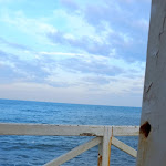 Photo n°7 de l'avis de Genoveffa.a fait le 18/02/2022 à 16:17 sur le  L'Incanto à Bari