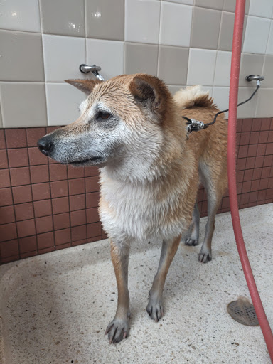 Pet Supply Store «Pet Food Express», reviews and photos, 320 S Lake Ave, Pasadena, CA 91101, USA