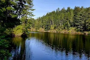 Umpqua Lighthouse State Park image