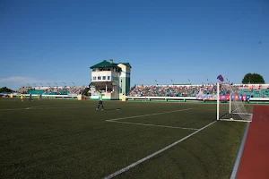 Polesye Stadium image