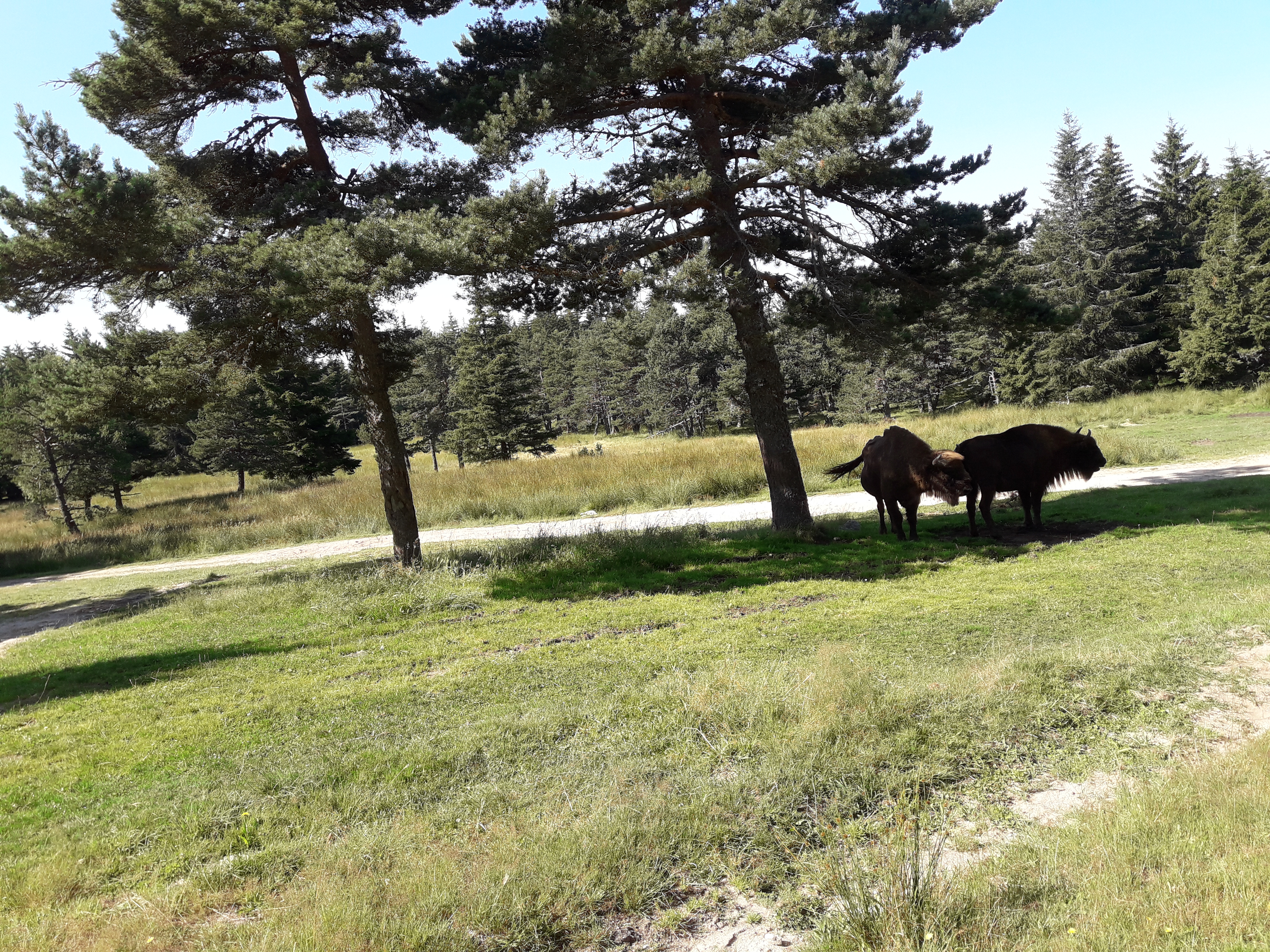 Photo n° 2 de l'avis de Ambre.a fait le 13/08/2021 à 06:05