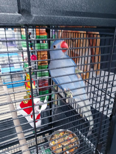 Pet Supply Store «Pet Supplies Plus», reviews and photos, 2927 Riley Fuzzel Rd #400, Spring, TX 77386, USA