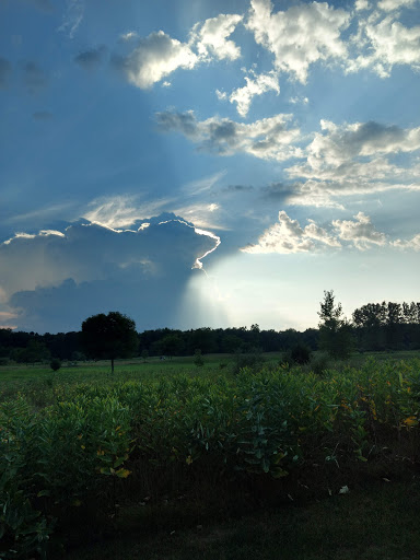 Public Golf Course «Briar Ridge Golf Course», reviews and photos, 11099 W Dodge Rd, Montrose, MI 48457, USA