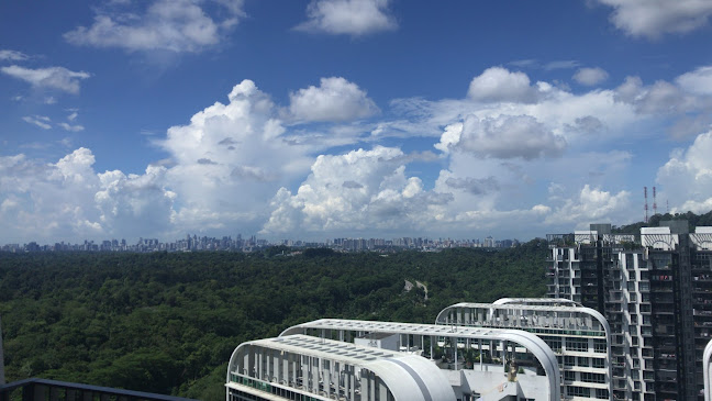 Reviews of Block 765 HDB Choa Chu Kang - Singapore - Other