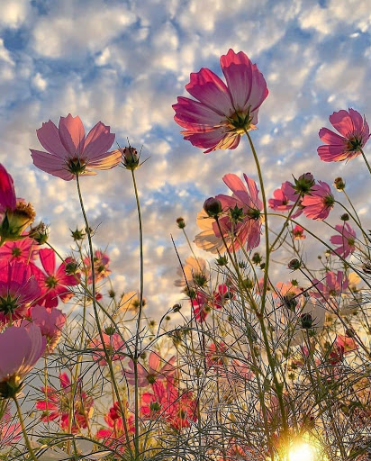 Hair Salon «Aylin Beauty Salon & Spa», reviews and photos, 820 E 41st St, Hialeah, FL 33013, USA