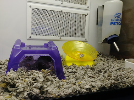 Pet Supply Store «Petco Animal Supplies», reviews and photos, 1201 E Washington Ave, Union Gap, WA 98903, USA