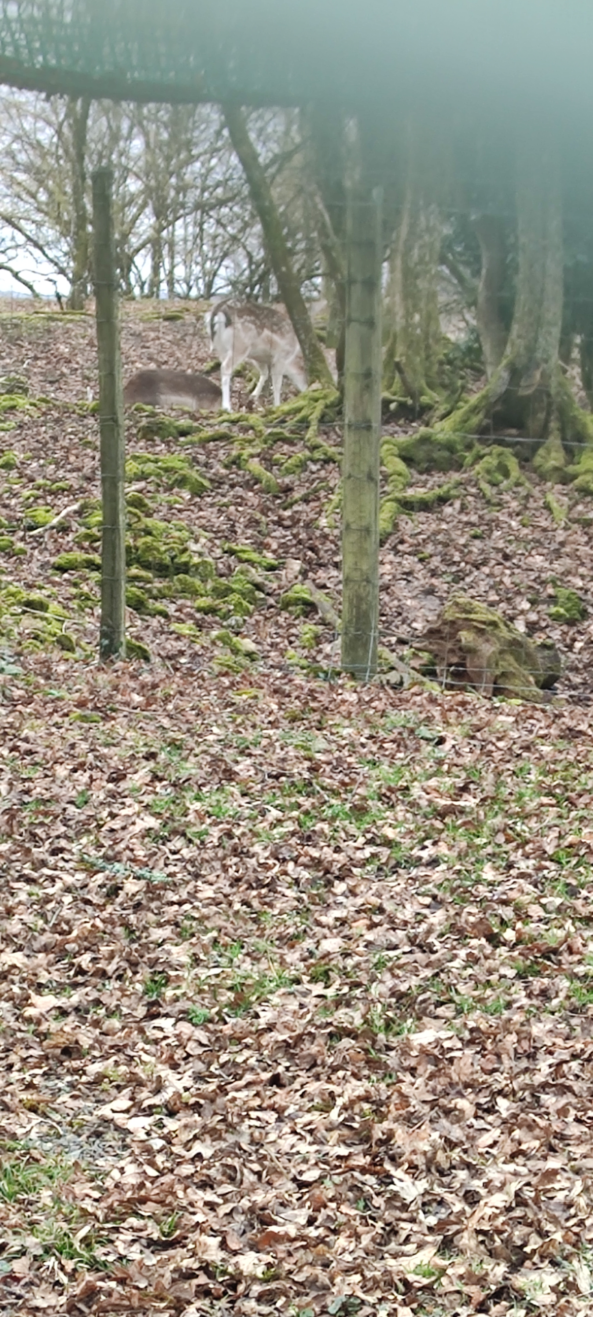 Photo n° 2 de l'avis de Nadine.a fait le 20/02/2022 à 11:29