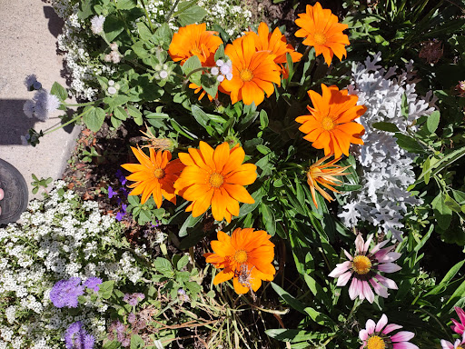 Shopping Mall «Sugar House Shopping Center», reviews and photos, 2274 S 1300 E, Salt Lake City, UT 84106, USA