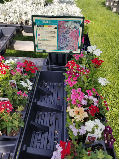 Florist «Lyndhurst Florist», reviews and photos, 5268 Mayfield Rd, Lyndhurst, OH 44124, USA