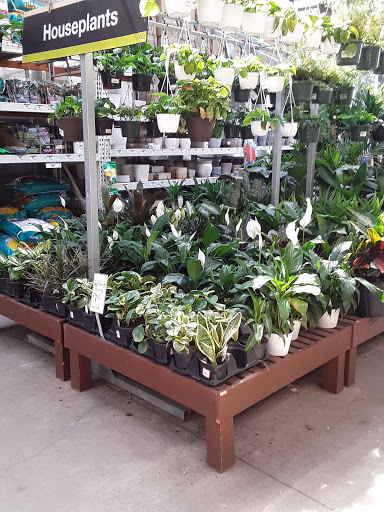 Home Improvement Store «The Home Depot», reviews and photos, 4200 Derry St, Swatara, PA 17111, USA