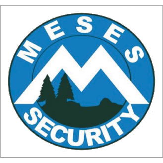 Meseş Security - <nil>